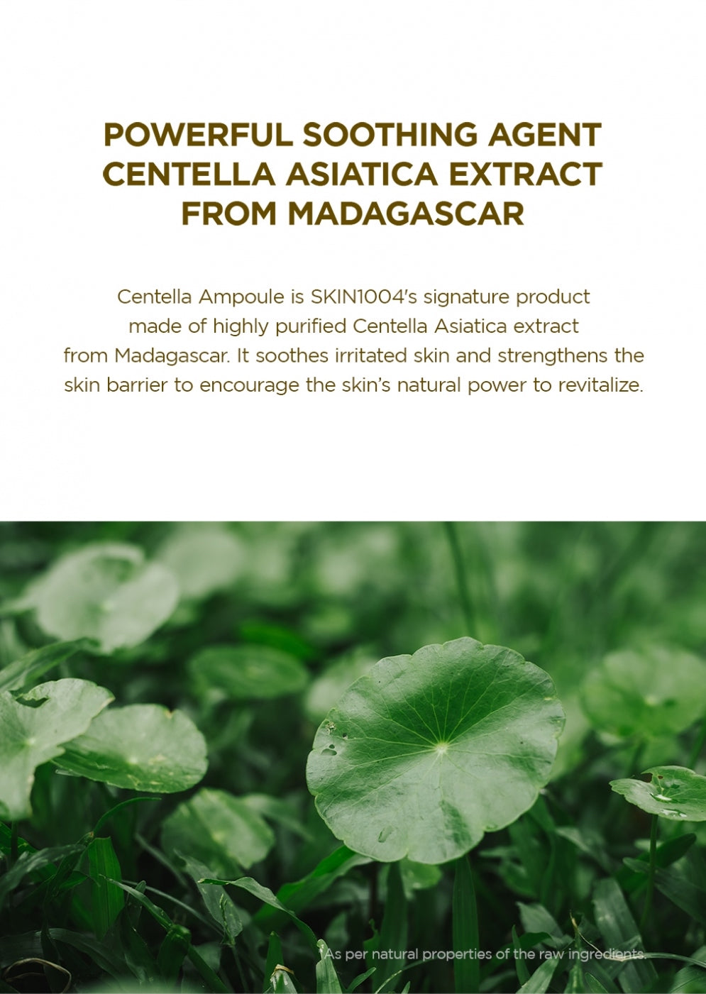 Skin1004 Madagascar Centella Ampoule 55ml
