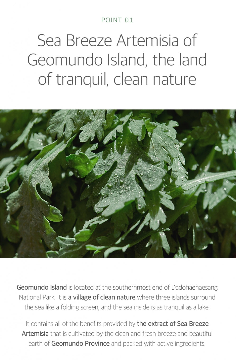 Round Lab Mugwort Calming Toner 300ml